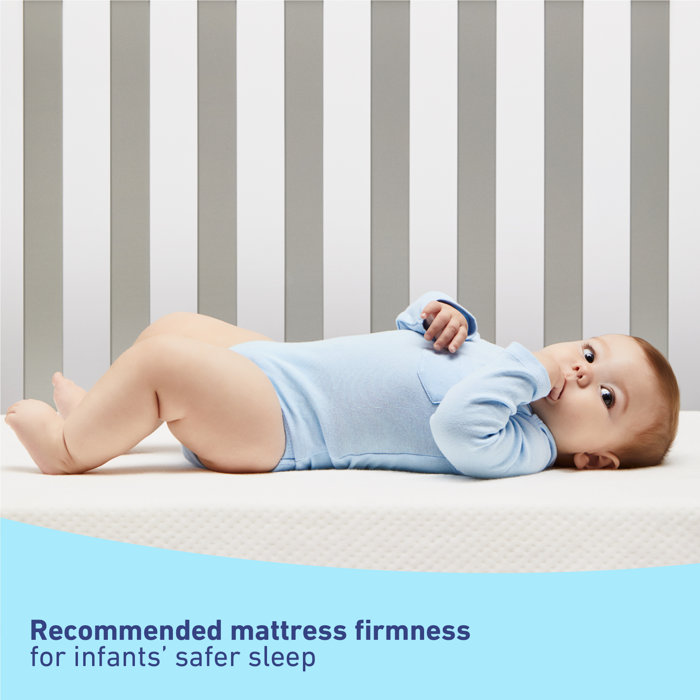 Graco Premium Foam Standard Crib and Toddler Bed Mattress & Reviews